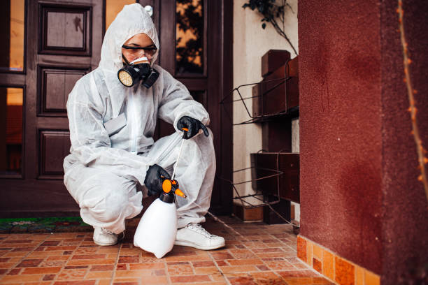 Reliable Wasp Removal contractor in Utica, IN by Show Me Pest Control